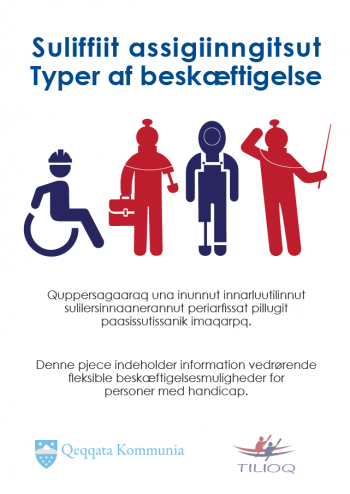 Grafisk illustration af typer af beskæftigelse for personer med funktionsnedsættelser